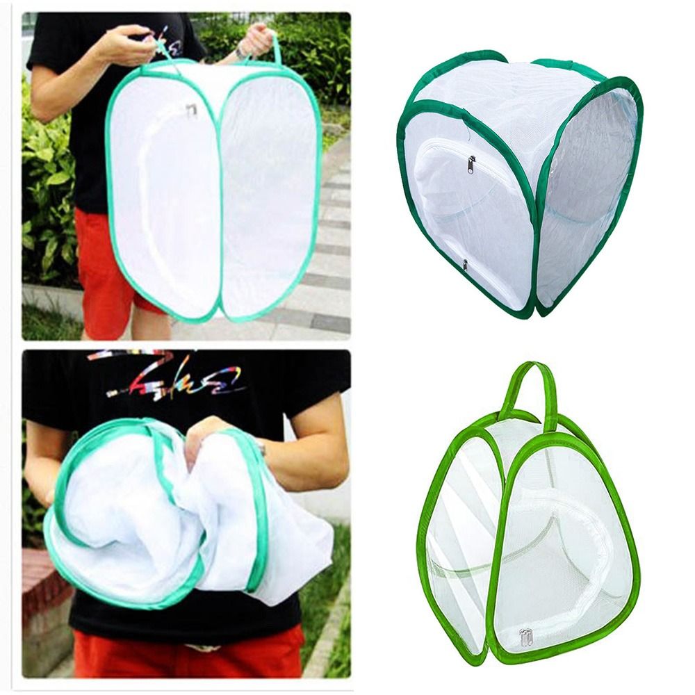 Green Screen Collapsible - Green Collapsible Insect Cage Zipper Opening