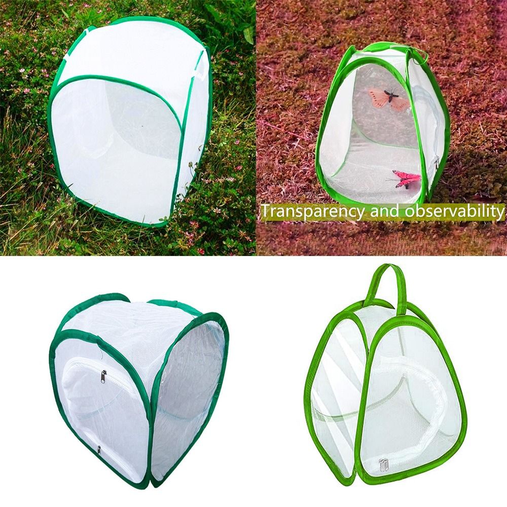Green Collapsible Insect Cage  - Green Screen Collapsible 评论和价格