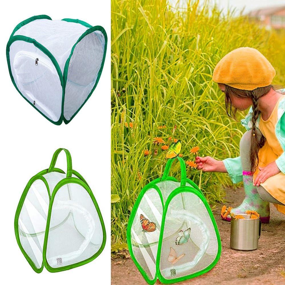 Green Collapsible Insect Cage  - Green Screen Collapsible 评论和价格